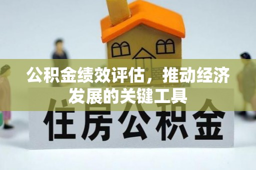 伊通公积金绩效评估，推动经济发展的关键工具