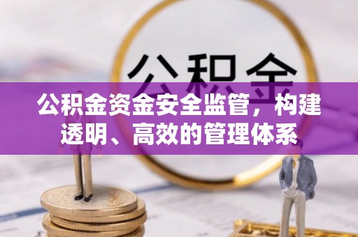 伊通公积金资金安全监管，构建透明、高效的管理体系