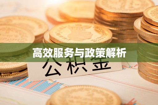 伊通高效服务与政策解析