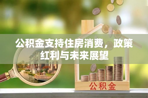 伊通公积金支持住房消费，政策红利与未来展望