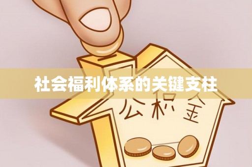 伊通社会福利体系的关键支柱