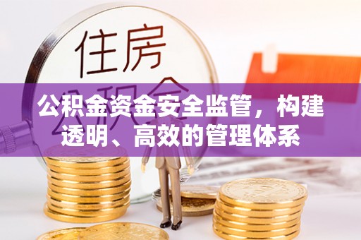 伊通公积金资金安全监管，构建透明、高效的管理体系