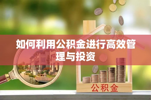伊通如何利用公积金进行高效管理与投资