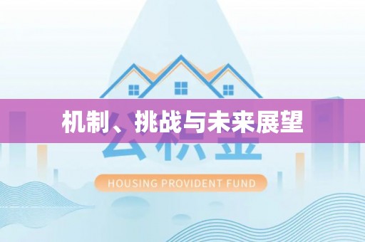 伊通机制、挑战与未来展望