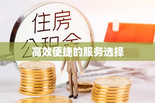 伊通高效便捷的服务选择